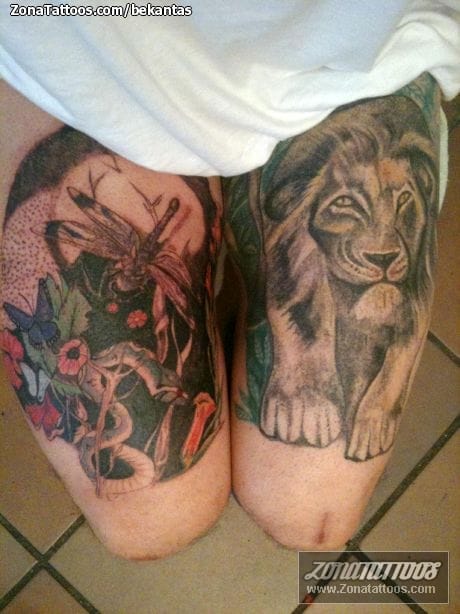 Foto de tatuaje Animales, Libélulas, Leones