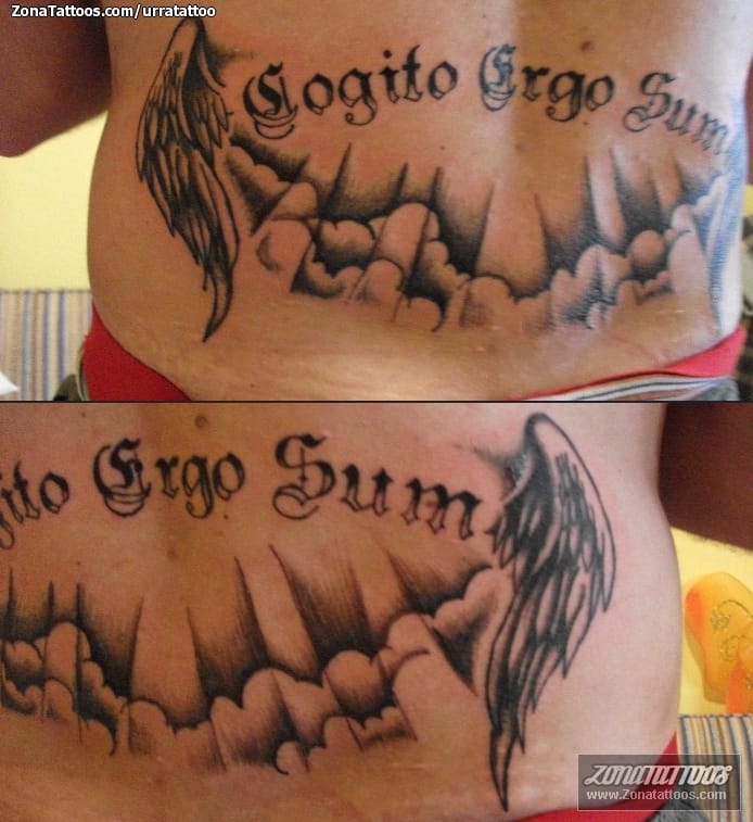 Tattoo photo Wings, Latin, Letters