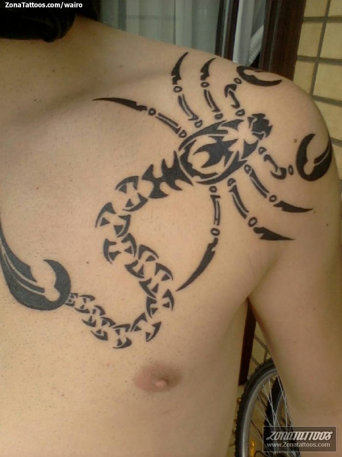 Tattoo photo Insects, Scorpions, Tribal