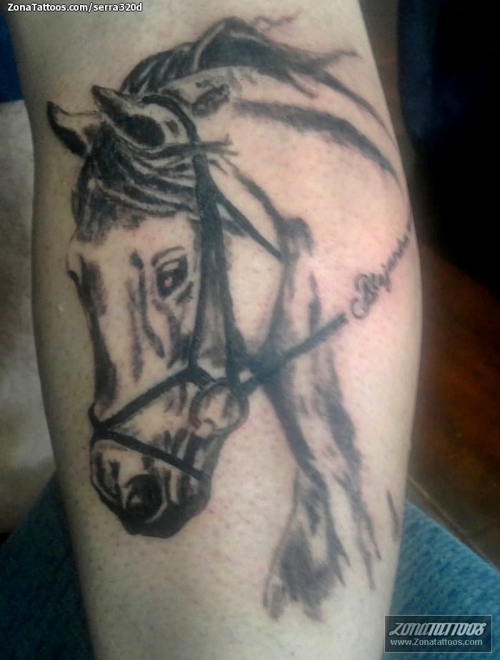 Foto de tatuaje Animales, Caballos