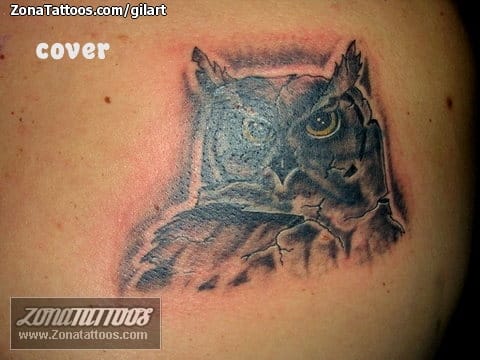 Foto de tatuaje Cover Up, Búhos, Aves