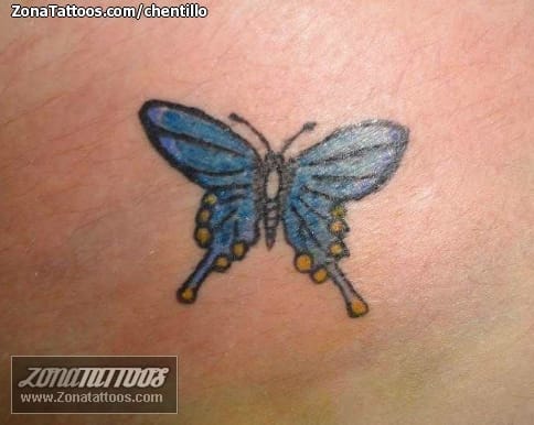 Foto de tatuaje Insectos, Mariposas