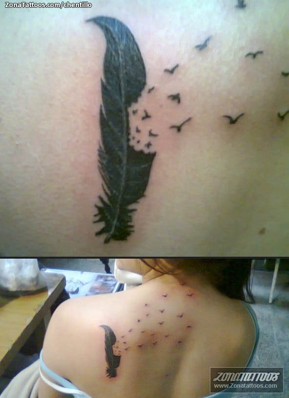 Foto de tatuaje Aves, Plumas