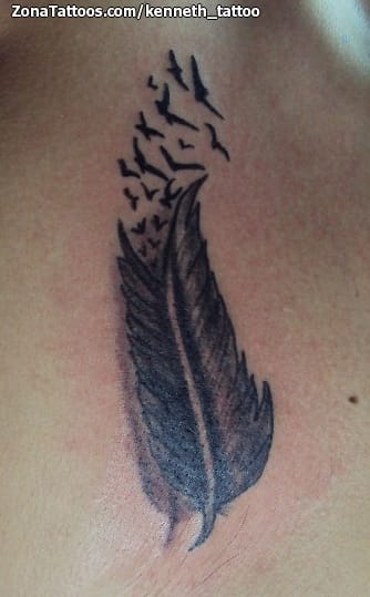 Foto de tatuaje Plumas, Aves