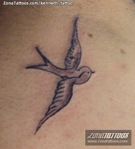 Tattoo photo Birds, Animals, Swallows