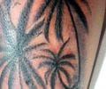 Tatuaje de franktattoo72