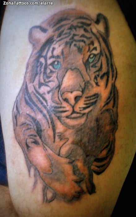 Tattoo of Tigers, Animals