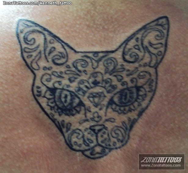 Foto de tatuaje Gatos, Animales