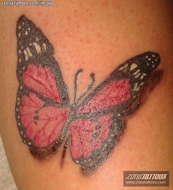 Tattoo photo Butterflies, Insects