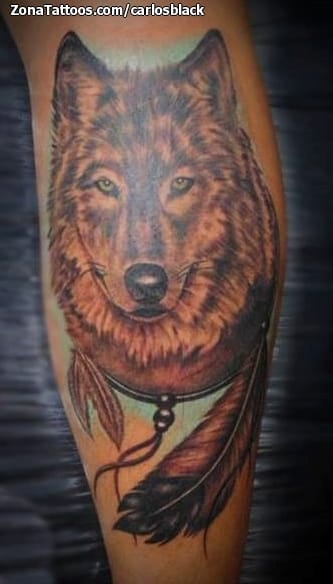 Tattoo photo Wolfs, Animals, Feathers