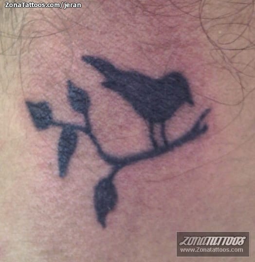 Tattoo photo Birds, Nape, Animals