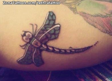 Tattoo photo Dragonflies, Insects