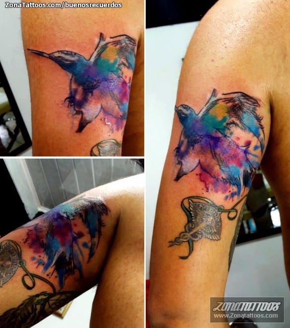 Foto de tatuaje Aves, Acuarela, Animales