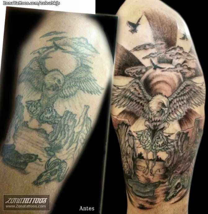 Foto de tatuaje Cover Up, Halcones, Animales