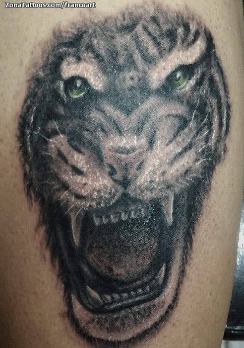 Tattoo photo Tigers, Animals