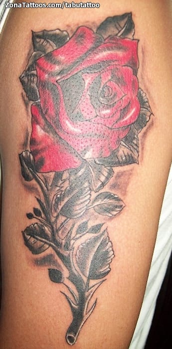 Tattoo photo Roses, Flowers