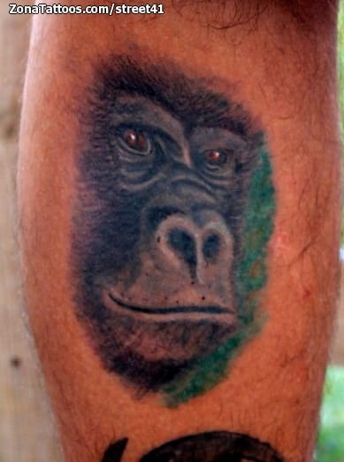 Tattoo photo Animals, Gorillas