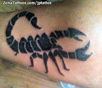 Foto de tatuaje Escorpiones, Insectos