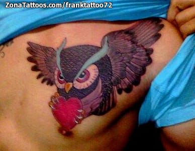 Foto de tatuaje Búhos, Aves, Animales