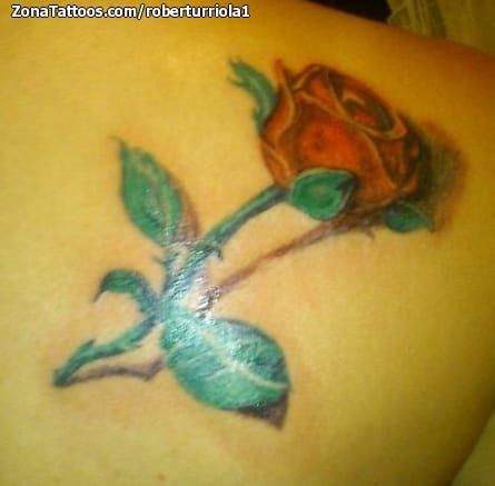 Foto de tatuaje Flores, Rosas