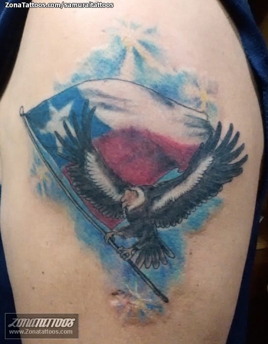 Tattoo photo Eagles, Birds, Animals