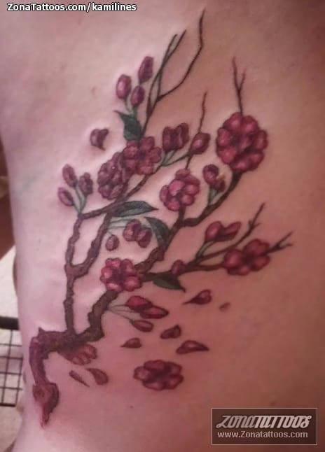 Tattoo photo Cherry blossoms, Back, Flowers