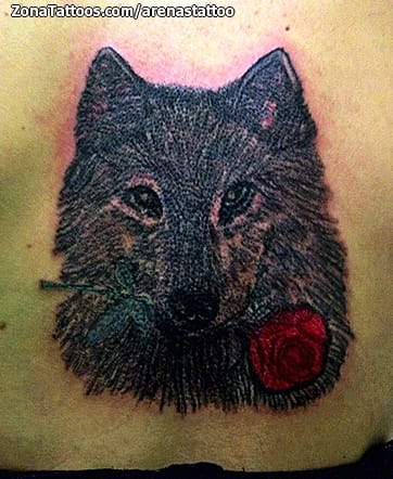 Foto de tatuaje Lobos, Animales