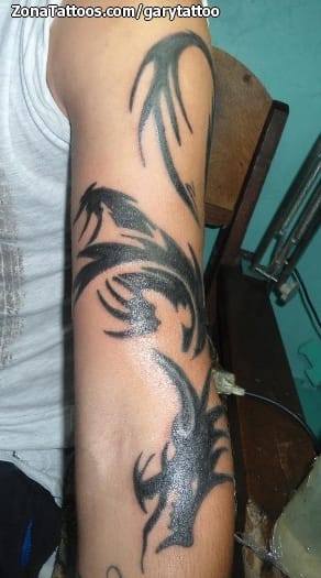 Foto de tatuaje Dragones, Tribales