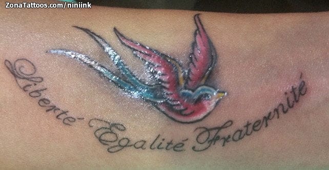 Foto de tatuaje Golondrinas, Aves, Animales