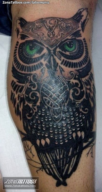 Tattoo photo Owls, Birds, Animals