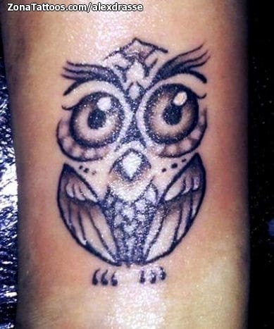 Foto de tatuaje Búhos, Aves, Animales