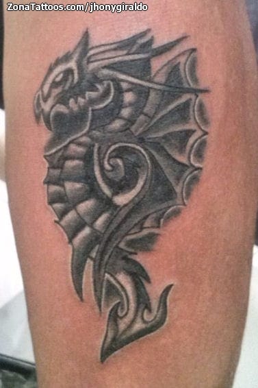 Foto de tatuaje Dragones, Cover Up, Fantasía