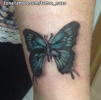 Tattoo photo Butterflies, Insects