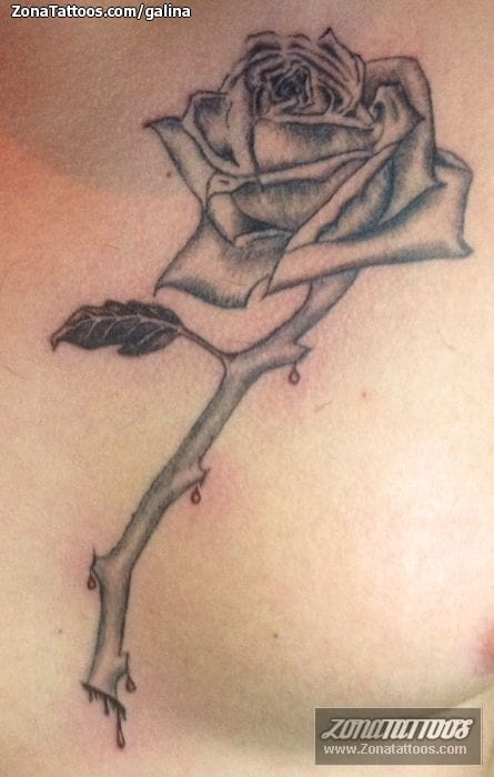 Foto de tatuaje Rosas, Flores, Pecho