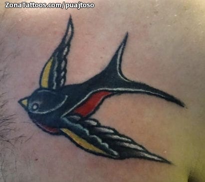 Tattoo photo Swallows, Old School, Birds