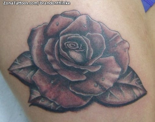 Tattoo photo Roses, Flowers