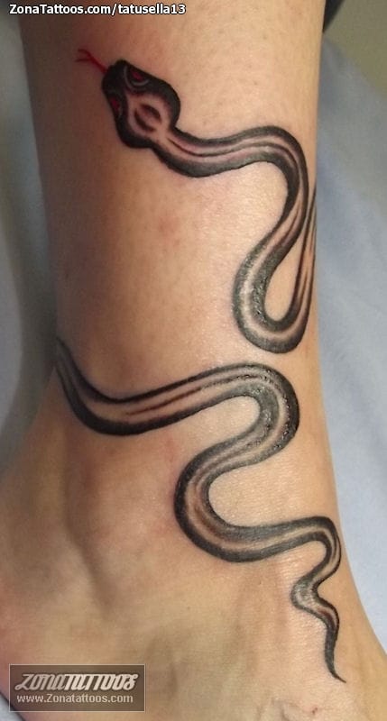 Black Angry Snake Waterproof Temporary Tattoo For Boys  Girls  Amazonin  Beauty