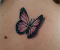 Tatuaje de Joe_Tattoom