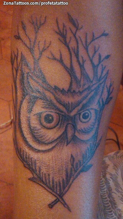 Tattoo photo Owls, Trees, Birds