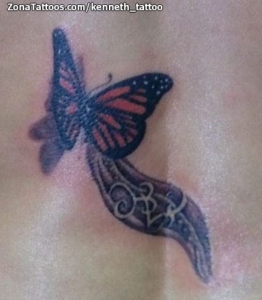 Tattoo photo Butterflies, Insects