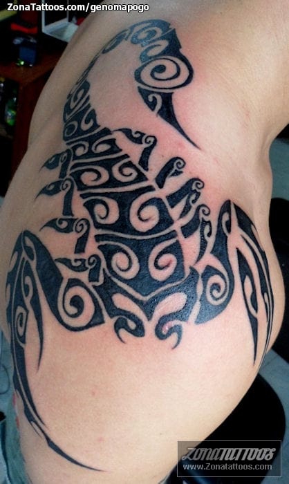 Tatuaje de Escorpiones, Insectos, Maoríes