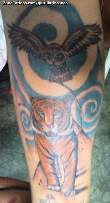 Tattoo photo Tigers, Owls, Animals