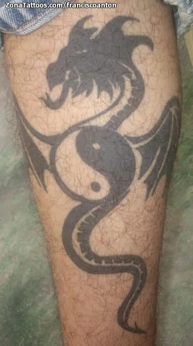 Tattoo photo Dragons, Yin Yang