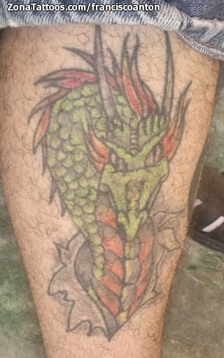 Tattoo photo Dragons, Fantasy