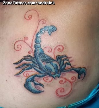 Tattoo photo Scorpions, Insects, Flourish