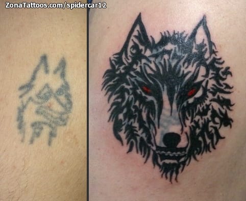 Foto de tatuaje Cover Up, Lobos, Animales