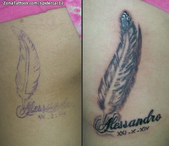 Tattoo photo Feathers