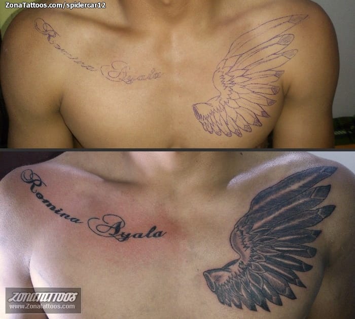 Tattoo of Wings, Letters