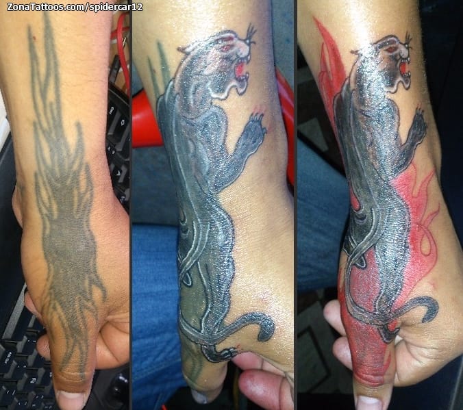 Tattoo photo Cover Up, Hand, Panthers