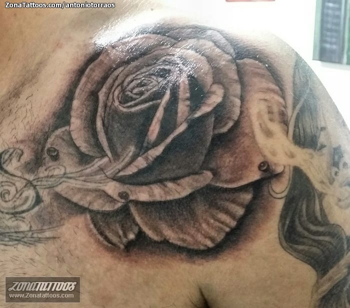 Foto de tatuaje Flores, Rosas